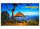 Tea Gardens, Wildlife, and Mountain Views Await on a North Bengal Package Tour