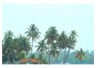 Discover Kerala – God’s Own Country with IMA Holiday