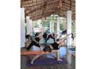 Join the Best Yoga Teacher Training Course in Goa