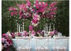 Make your private or business events most memorable with Party Planner Lithonia