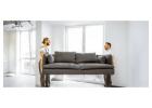 Cheap & Efficient Furniture Removals in North Shore Auckland