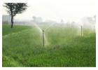 Which Types of Agriculture Sprinkler Systems Are Best for Vegetables and Nurseries?