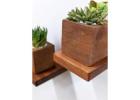 Stylish Mini Mahogany Square Shelve Display