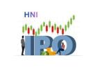 HNI in IPO – Smart High-Value Investment Options
