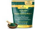 Complete Nutrition with Organic Greens Powder Formula