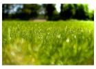 Best Artificial Grass for Golf Courses – Premium Turf for Perfect Greens