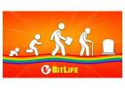 Bitlife Game