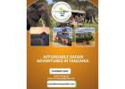 Affordable safari Adventures in Tanzania