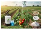 Boric Acid Uses in Agriculture for Healthier Crops and Better Yields
