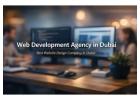 Professional Web Development Agency in Dubai for Business Growth