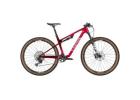 2025 Canyon Lux World Cup CF 8 Mountain Bike (INDORACYCLES)