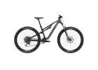 2025 Canyon Neuron CF LTD Mountain Bike (INDORACYCLES)