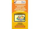 Ecommerce Website Design & Development Services