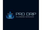 Expert Plumber Professionals - Reliable Pro Drip Plumbing