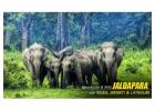Experience Nature Closely with Dooars Tour with Jaldapara Elephant Safari