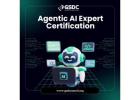 Agentic AI Developer Certification: Build the Future of Autonomous Intelligence