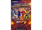 Dafabet Sports Designed for User Comfort