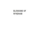 Same Day Flower Delivery Sunshine -  Blossom of Wyndham