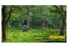 Dooars Tour with Jaldapara Elephant Safari for an Unforgettable Jungle Experience