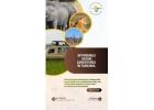 Affordable Safari Adventures in Tanzania