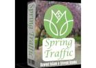 Spring Traffic: 5 Free Daily Traffic Sources to Any URL