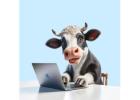 Cattle Care: The Ultimate Cow Software for Modern Herd Management