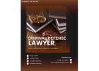 Best Criminal Defense Lawyer in Van Nuys !