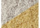Trusted Organic Basmati Rice Supplier for USA Bulk Buyers