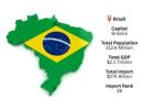 Brazil Inbound Market Overview