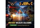 The Roadway Lifeguardian: Revolutionizing Wildlife Crash Prevention Innovation