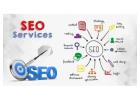 Expert SEO Services in India for Higher Rankings