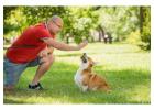 Dog Trainer in Chennai