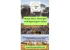 Masai Mara Serengeti and Ngorongoro Safari Tours – Affordable Packages