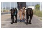 Dog Walking Services in Mumbai