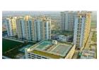 Buy Flats in Gurgaon with Naveen Associates