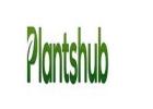 Buy Plants Online India – Wide Range of Indoor Plants & Garden Essentials