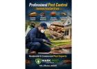 professional pest control services