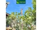 Professional Tree Removal Services in Melbourne for Safe and Efficient Results