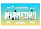 Result-Driven Digital Marketing Services Delhi NCR for Business Growth