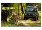 North Bengal Package Tour – Your Perfect Escape to Peaceful Hill Destinations