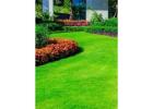 Landscaping Services Melbourne