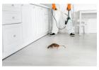 Reliable Industrial Pest Control Company in Jaipur for All Facilities