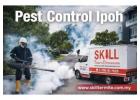 Trusted Pest Control Ipoh Experts for Safe and Effective Solutions