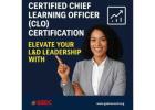 Why Chief Learning Officer Certification Is Essential for L&D Leaders