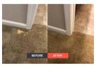 Expert Carpet Spot Dyeing in Sunshine Coast for Flawless Results