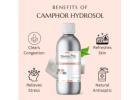 Buy Camphor Hydrosol Online for Cosmetic & Beauty Products | Raasa Oils
