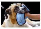 Buy a Drool Catcher for your Dogs from Huge Hounds to Clean the Drool that Comes Out of the Dog's Mo