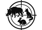 Professional Deer, Rabbit and Feral Goat Control NSW – Trusted Contract Shooters & Thermal Night Sho
