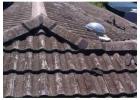 Roof restorations Adelaide