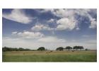 Holistic Ranch Management South Texas Sustainable Land , Livestock Practices